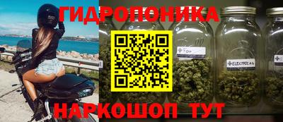 МДПВ Лесосибирск