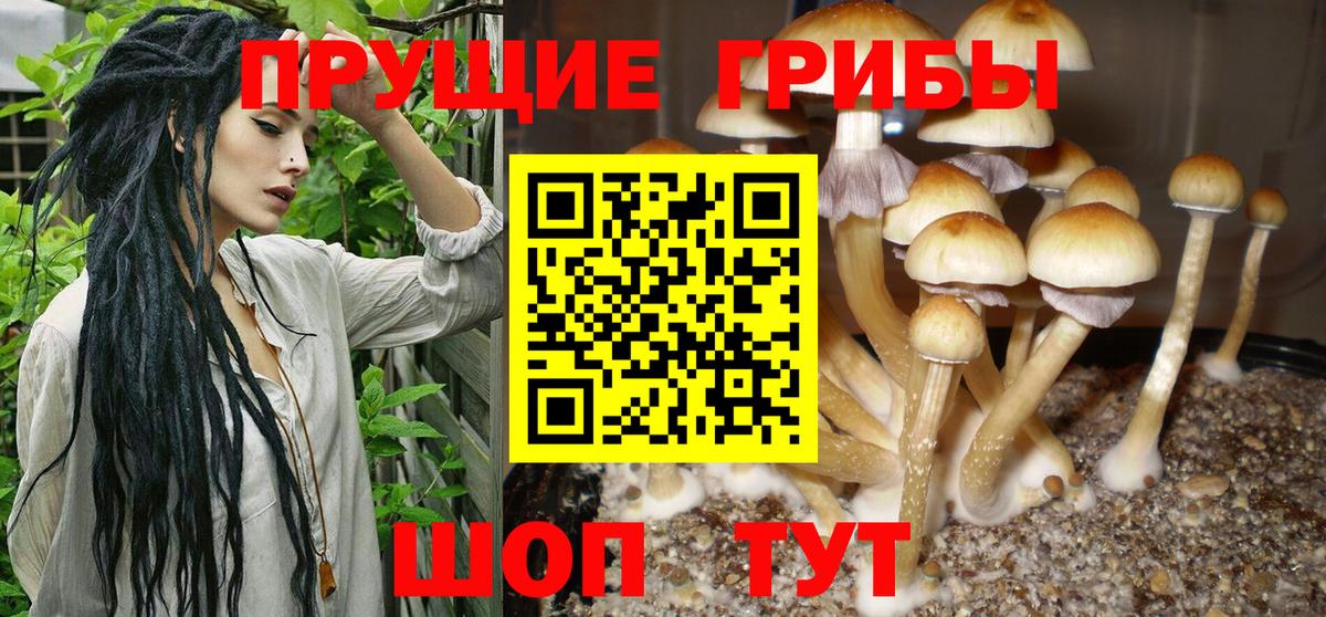 Псилоцибиновые грибы MAGIC MUSHROOMS Гатчина