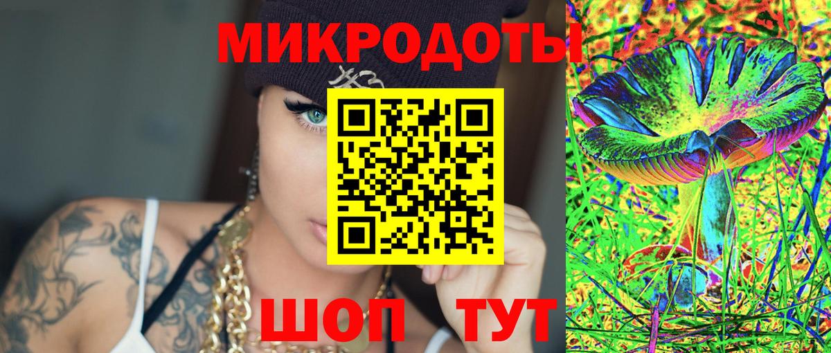 Галлюциногенные грибы Psilocybine cubensis  Псилоцибиновые грибы мицелий  Вход с VPN  Гатчина 